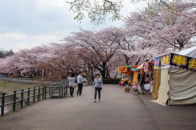 🏞️ 중앙공원(센트럴 파크) 이미지 7